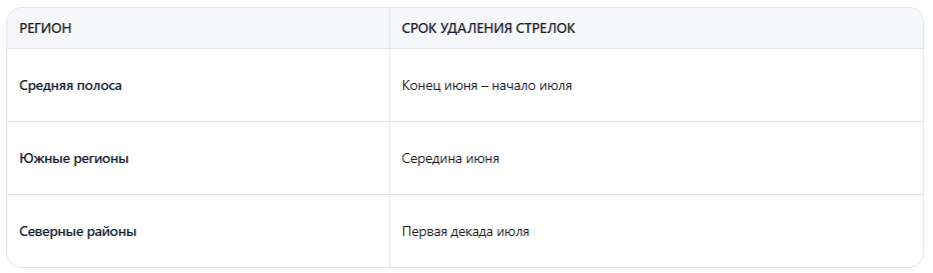 Региональные особенности