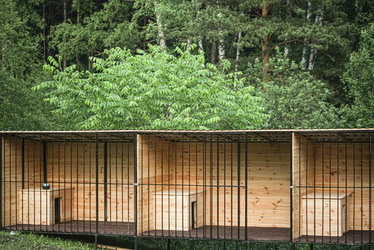 Наши апартаменты в лесу. 