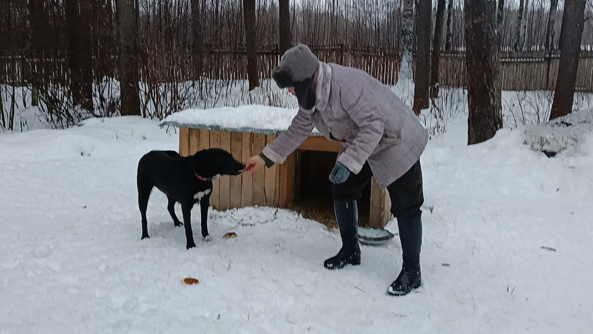 Наш волонтер Валентина подкармливала ее, когда Рэсси жила в " Любящей семье"