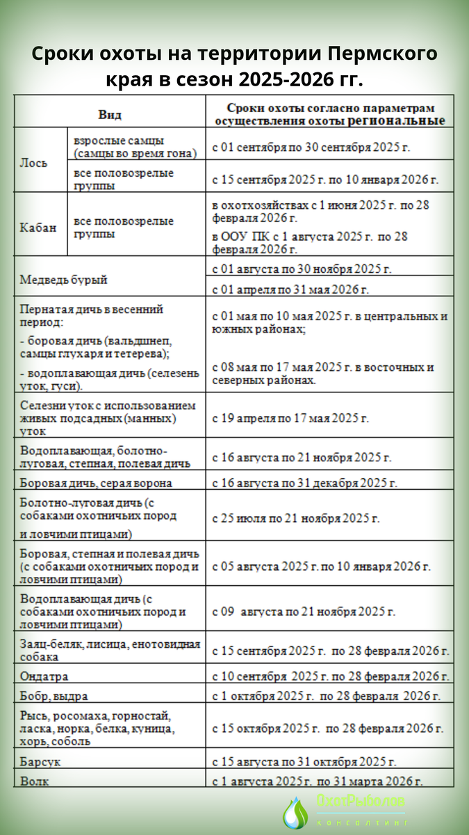 Сроки охоты в Пермском крае на сезон 2025-2026. Подготовлено ОхотРыболовКонсалтинг (Николай Середа)