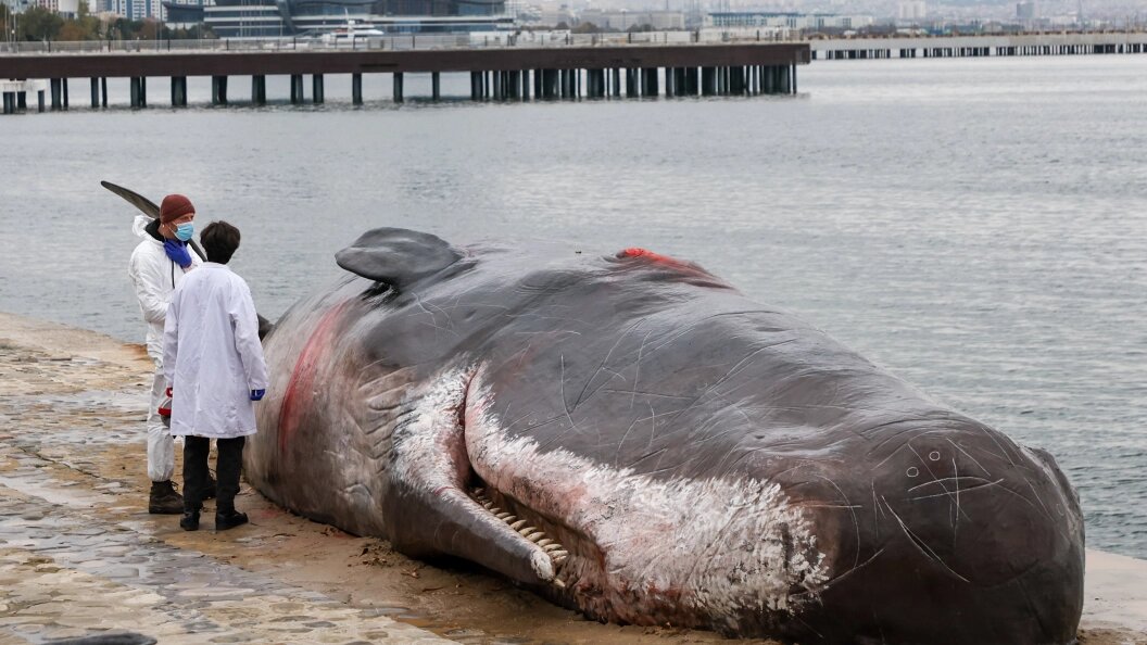    Belkin Alexey/news.ru/Globallookpress