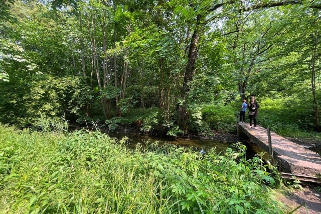   Фото: Калининград.Ru