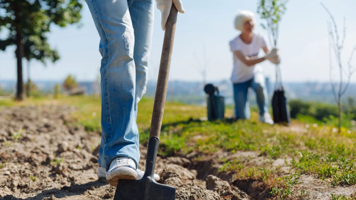    Фото: YAKOBCHUK VIACHESLAV/Shutterstock/Fotodom