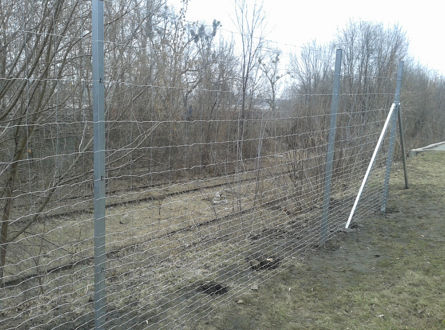 Фото, предоставленное производителем