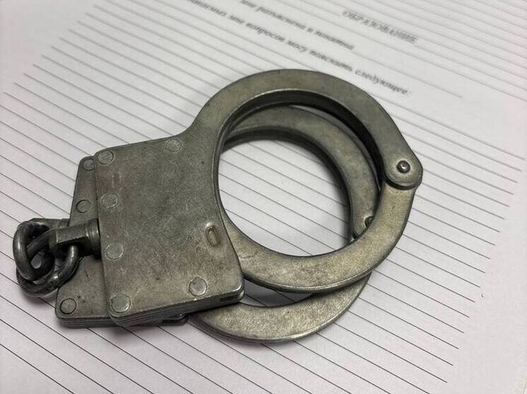     мужчина больше не сможет работать частным охранником. фото: архив мк в питере