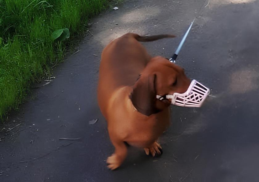 Поймать меня без движения практически невозможно