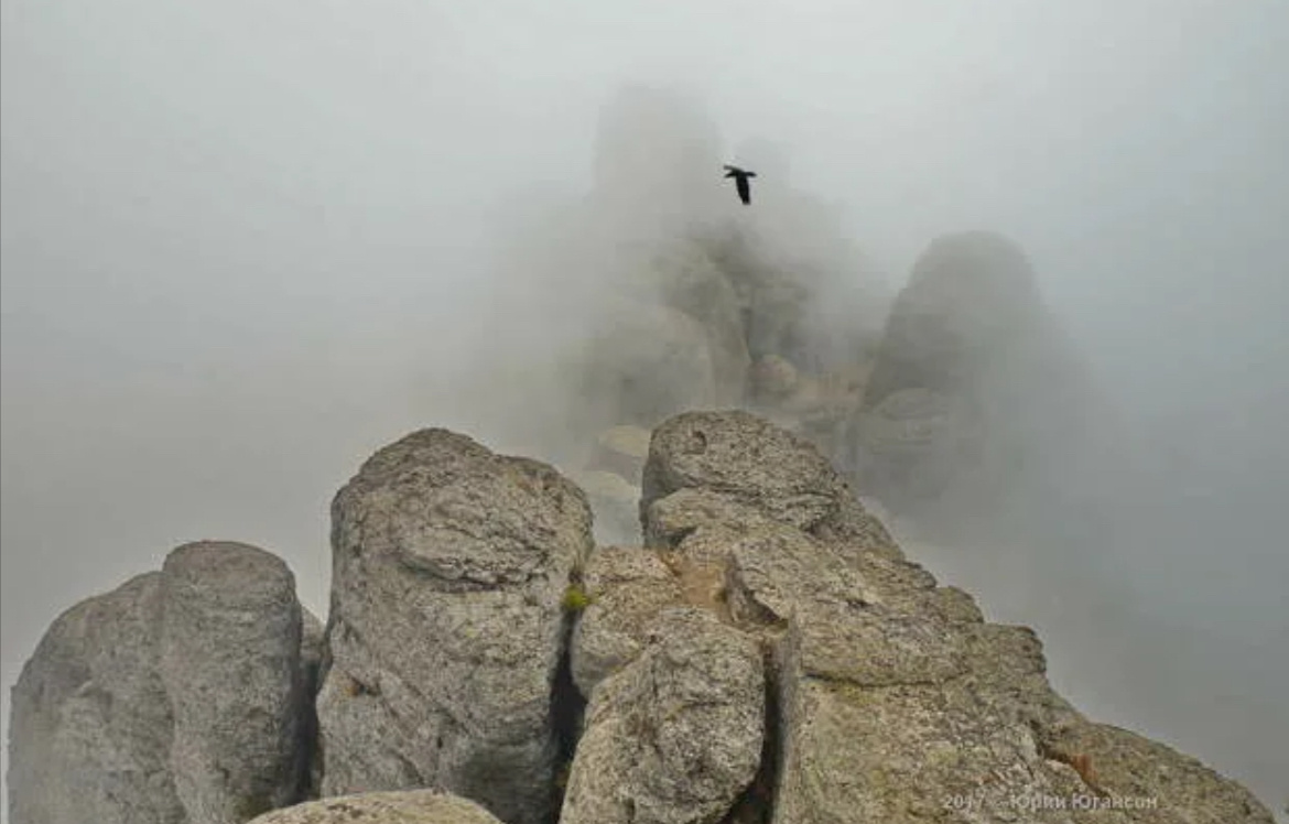 Туманная погода и раннее утро обязательные условия для встречи с сущностью в горах Крыма👌