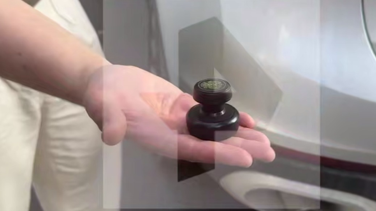    Фото: Telegram / РЕН ТВ|Новости