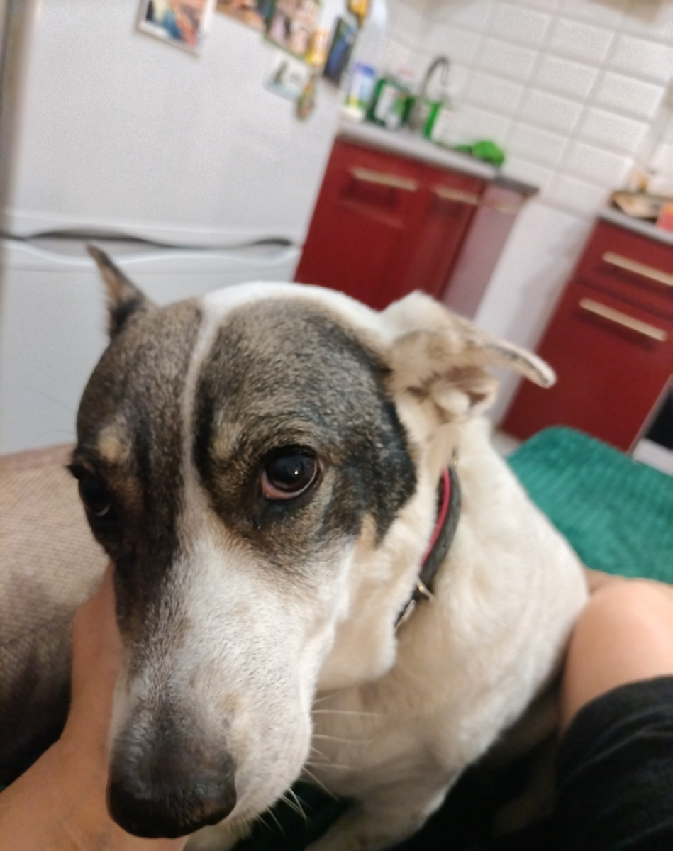 Привет вам от Зефирки) 