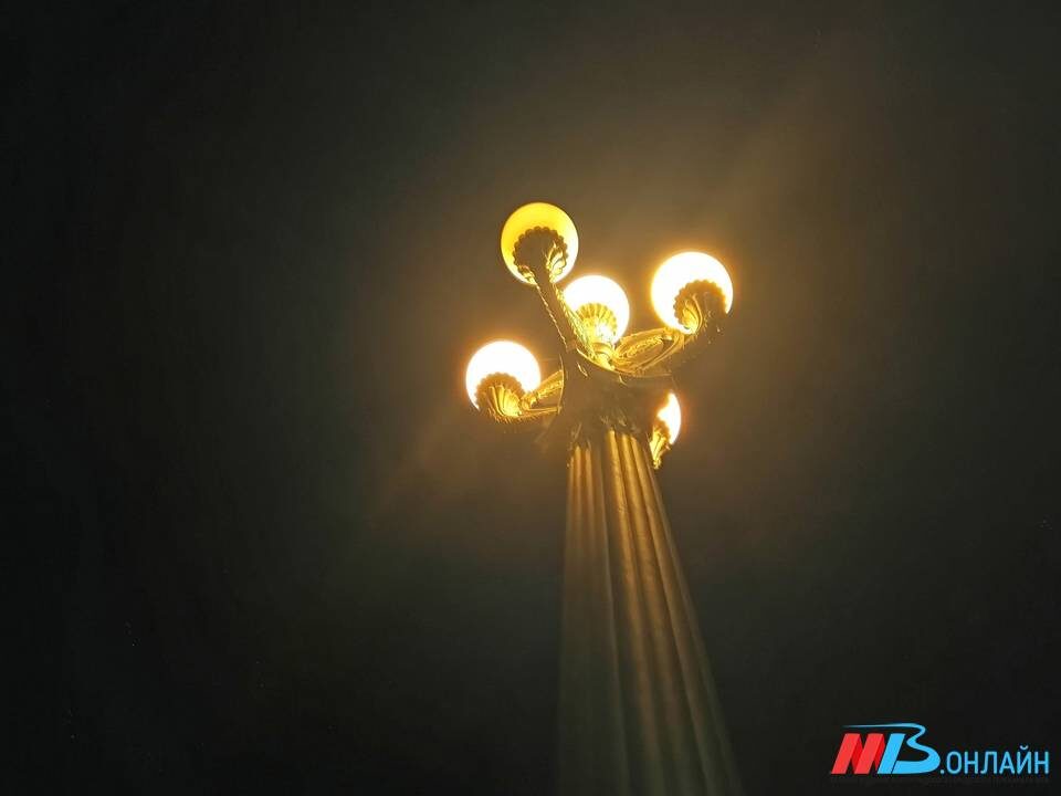    Фото: МТВ.ОНЛАЙН / Елизавета Денисова