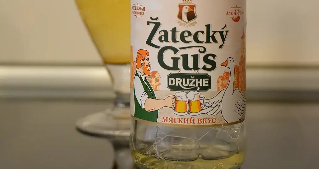 Жатецких гусей прибыло