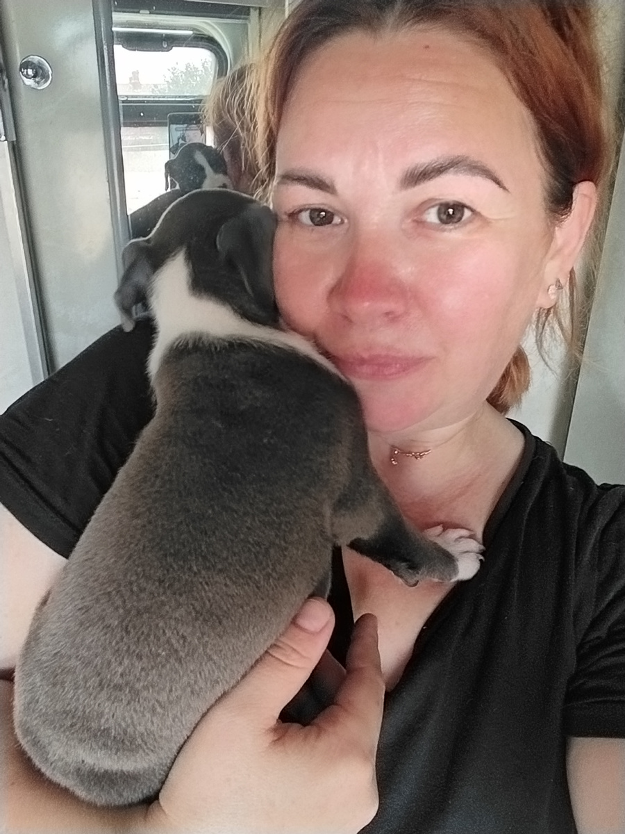 Вот такой у меня пассажир) 