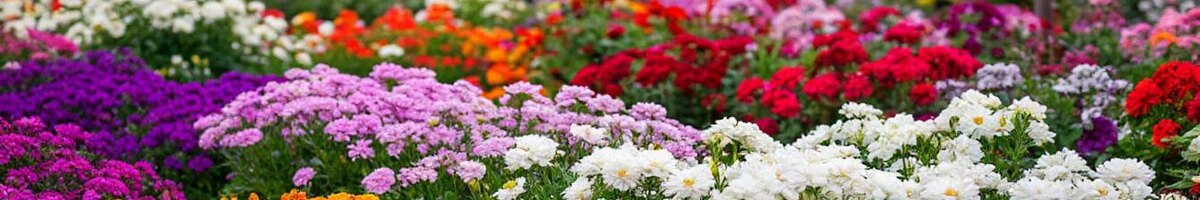    Фото: Шедеврум