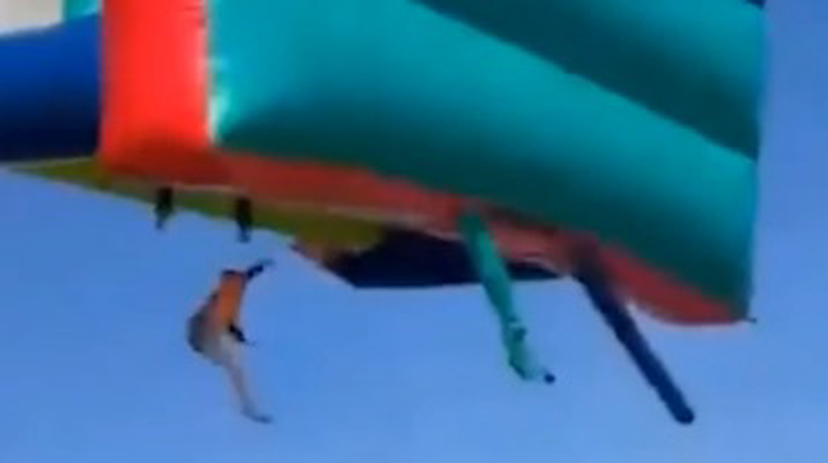    Фото: Telegram / Mash / скриншот