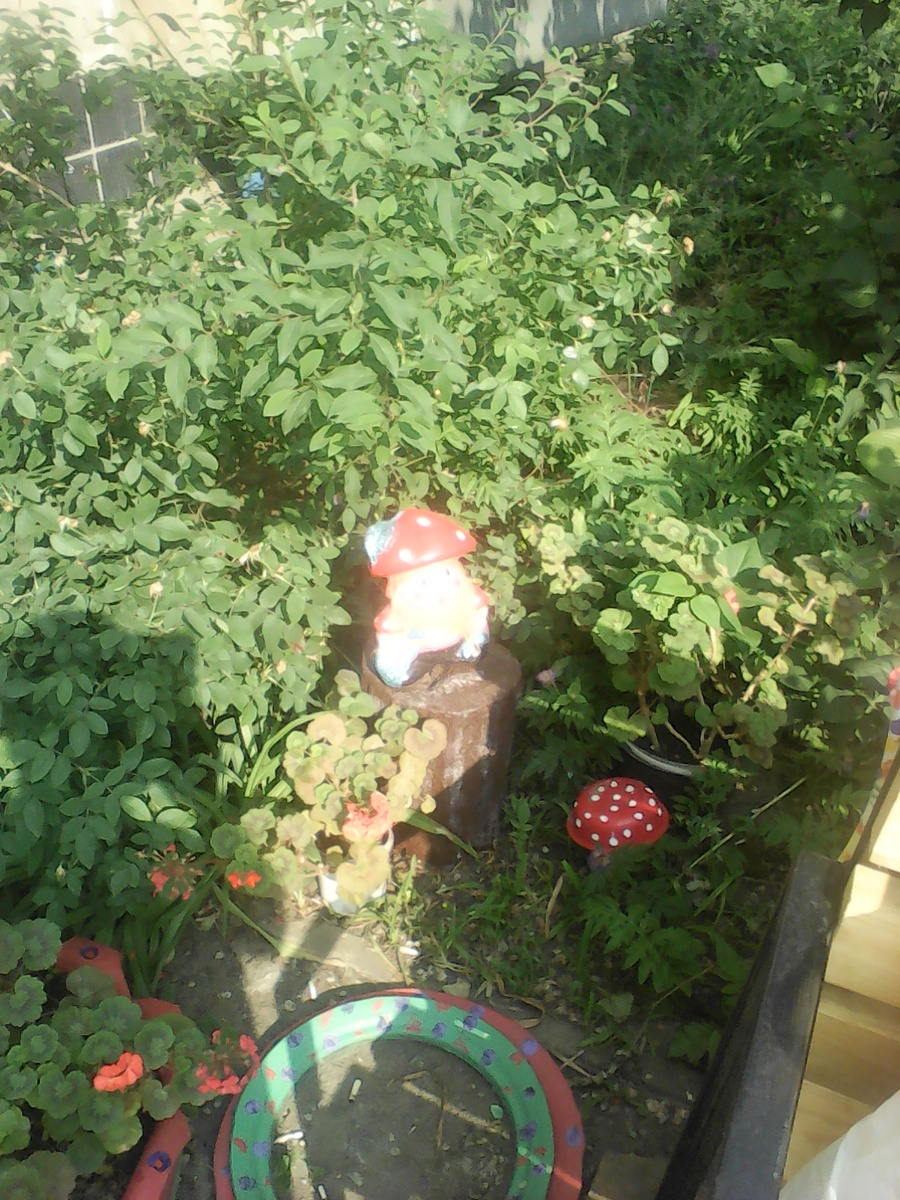 Гном спрятался в кустах