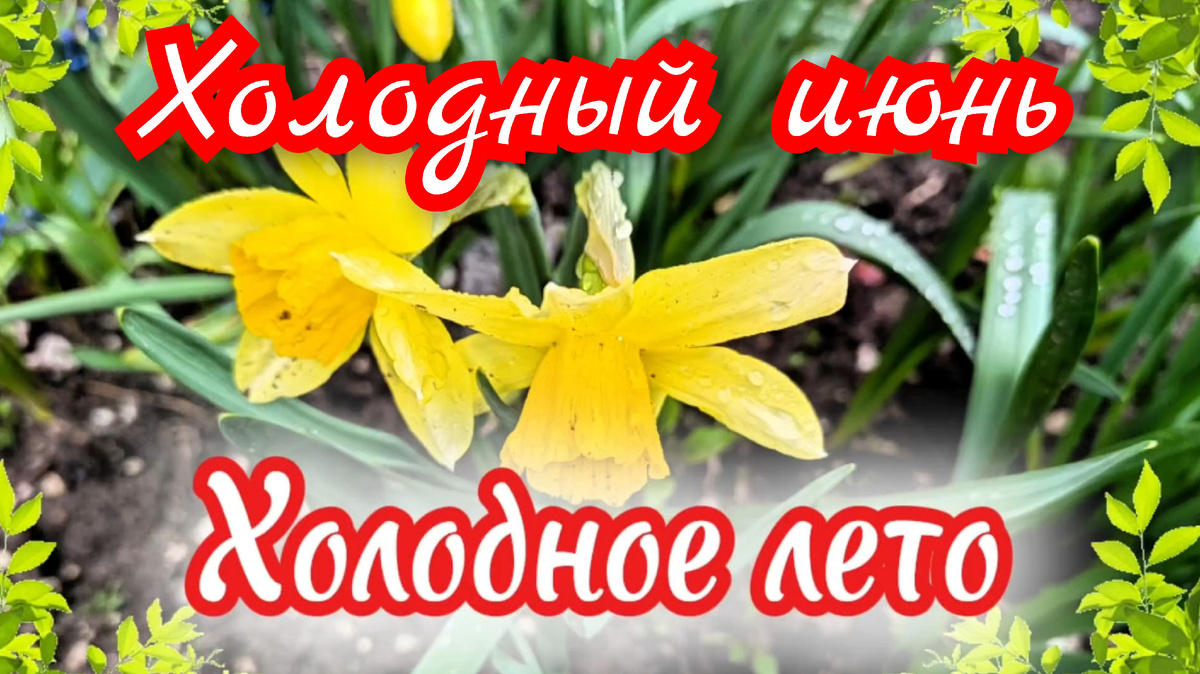 Обложка новой песни.