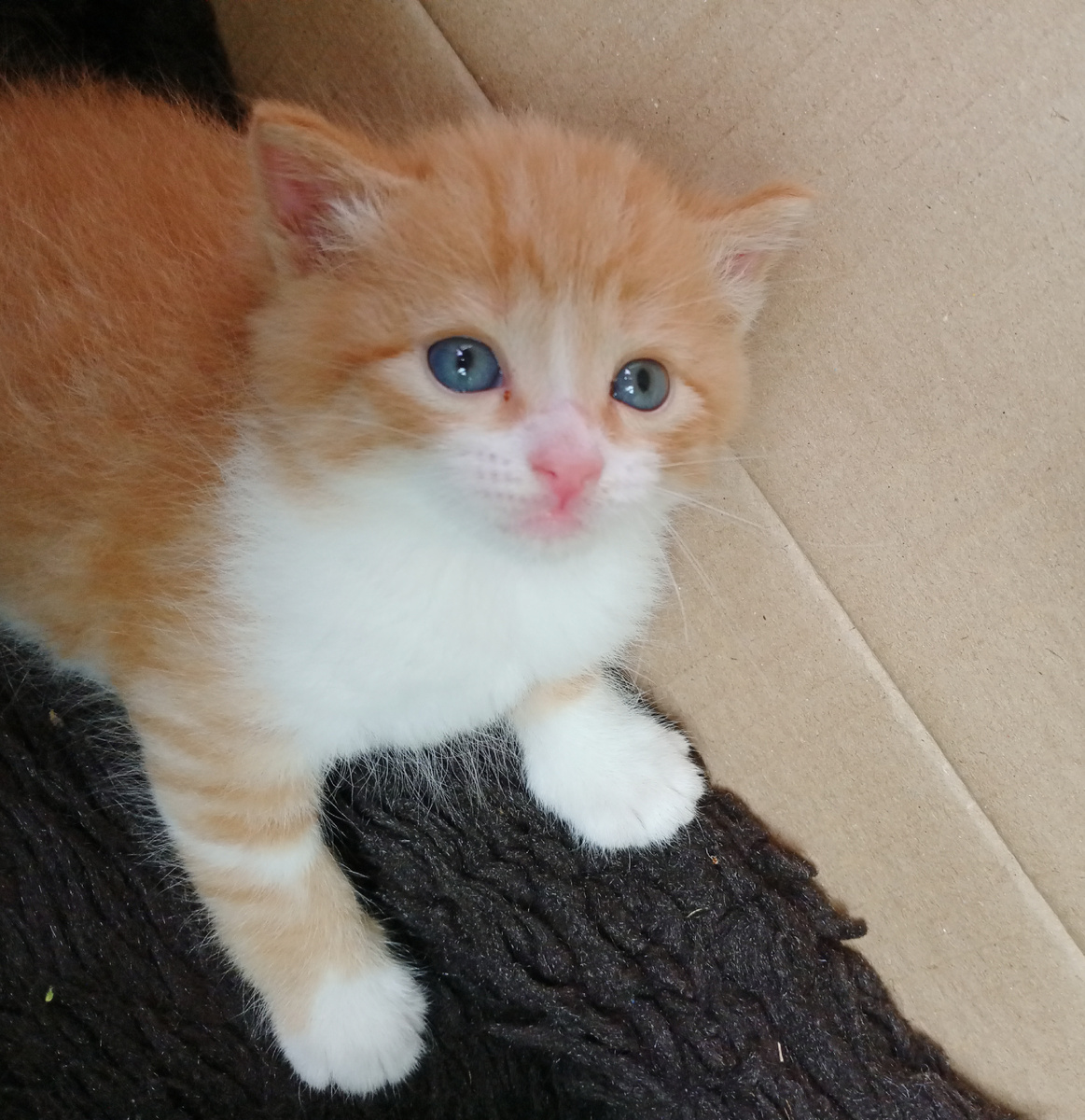 Фото автора.