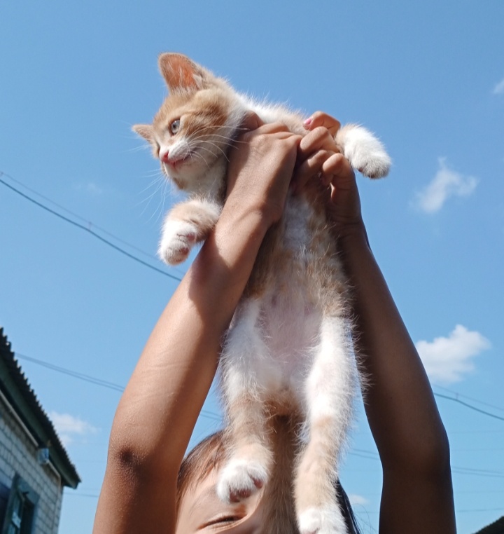 Фото автора.