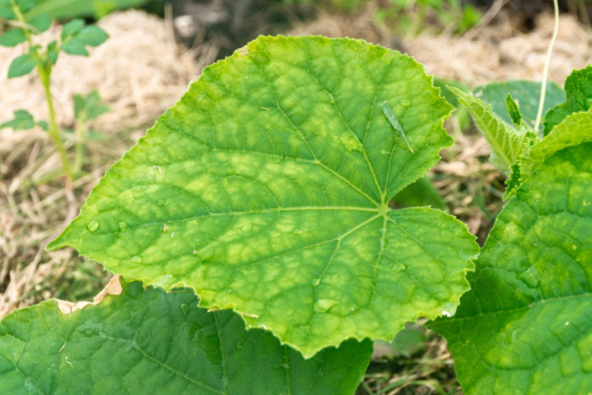 Источник фото: shutterstock.com