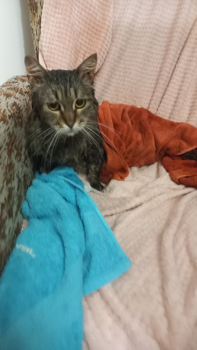 Помыли, предатели!!!