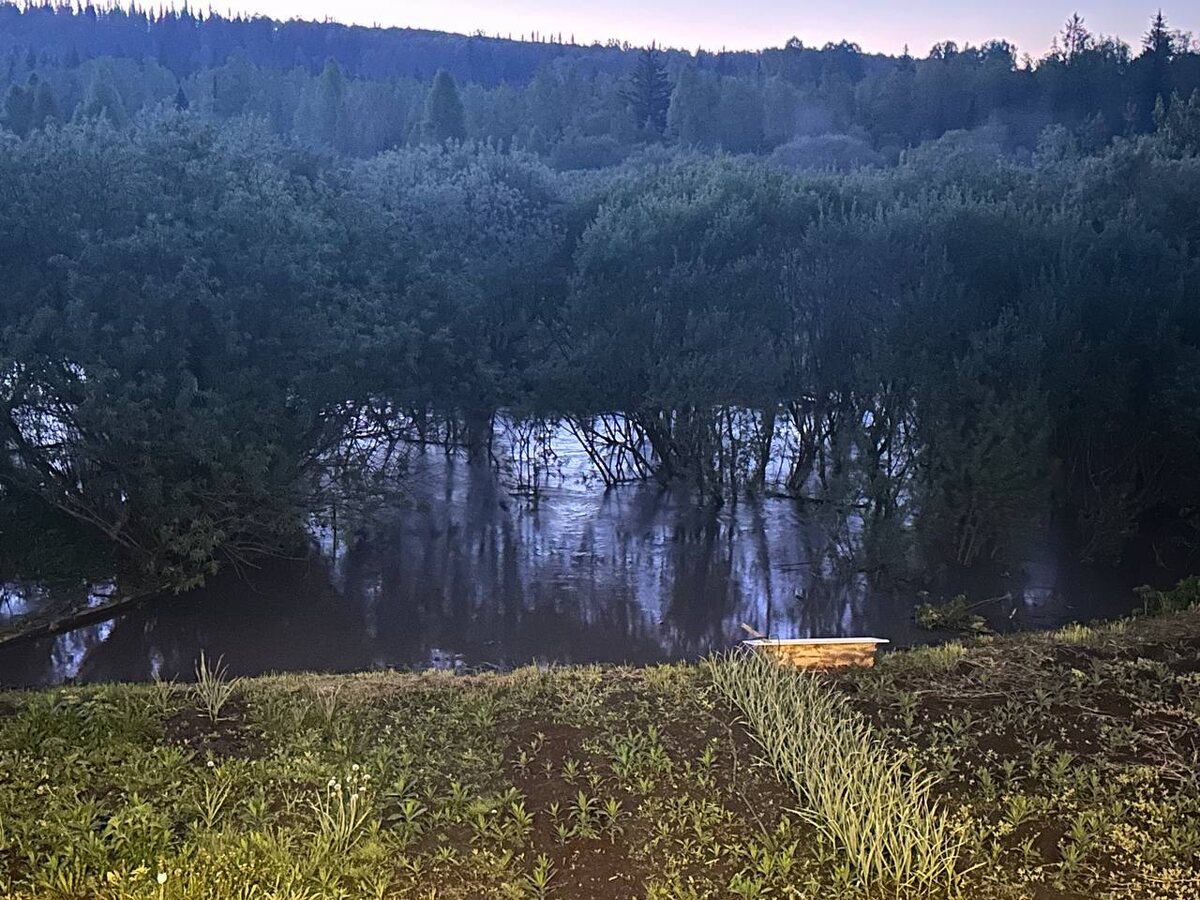 Мой прекрасный огород!