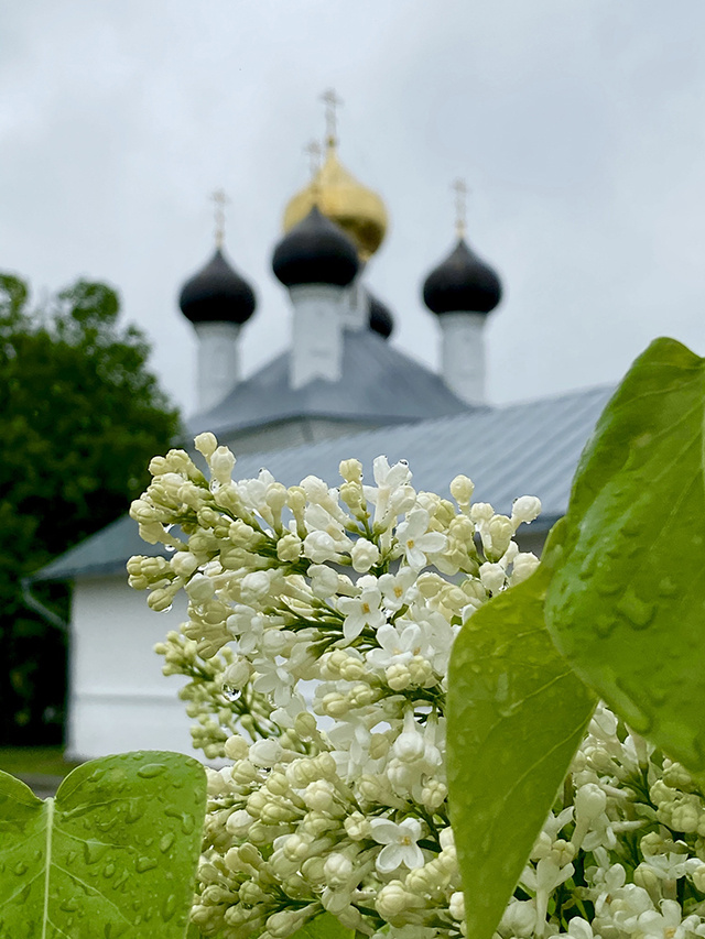 Мастер-класс по колокольному звону: чем порадуют юбилейные Троицкие гуляния 