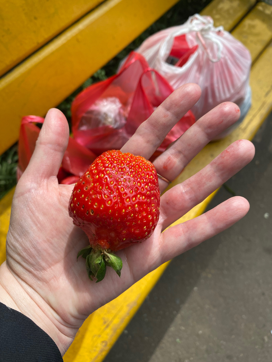 Это мы с рынка счастливые с вкусняшками пришли!