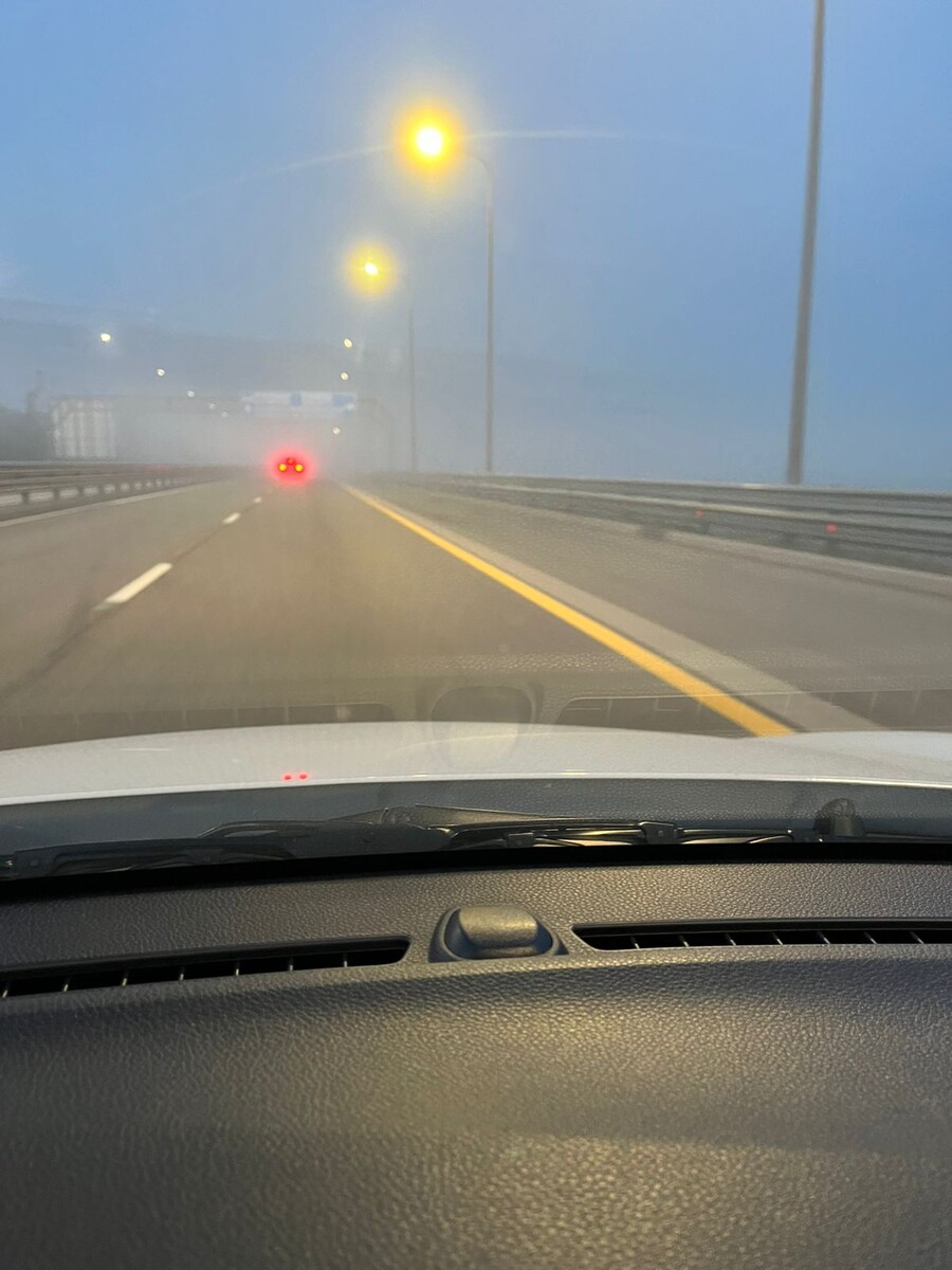 туман в дороге