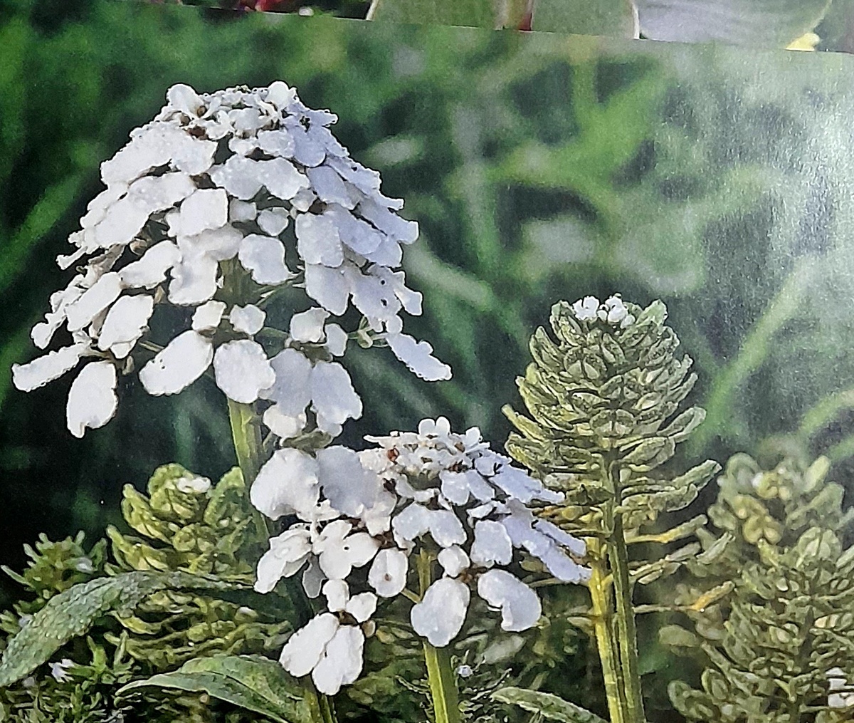 Фото автора канала