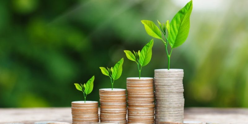    Health Management DC