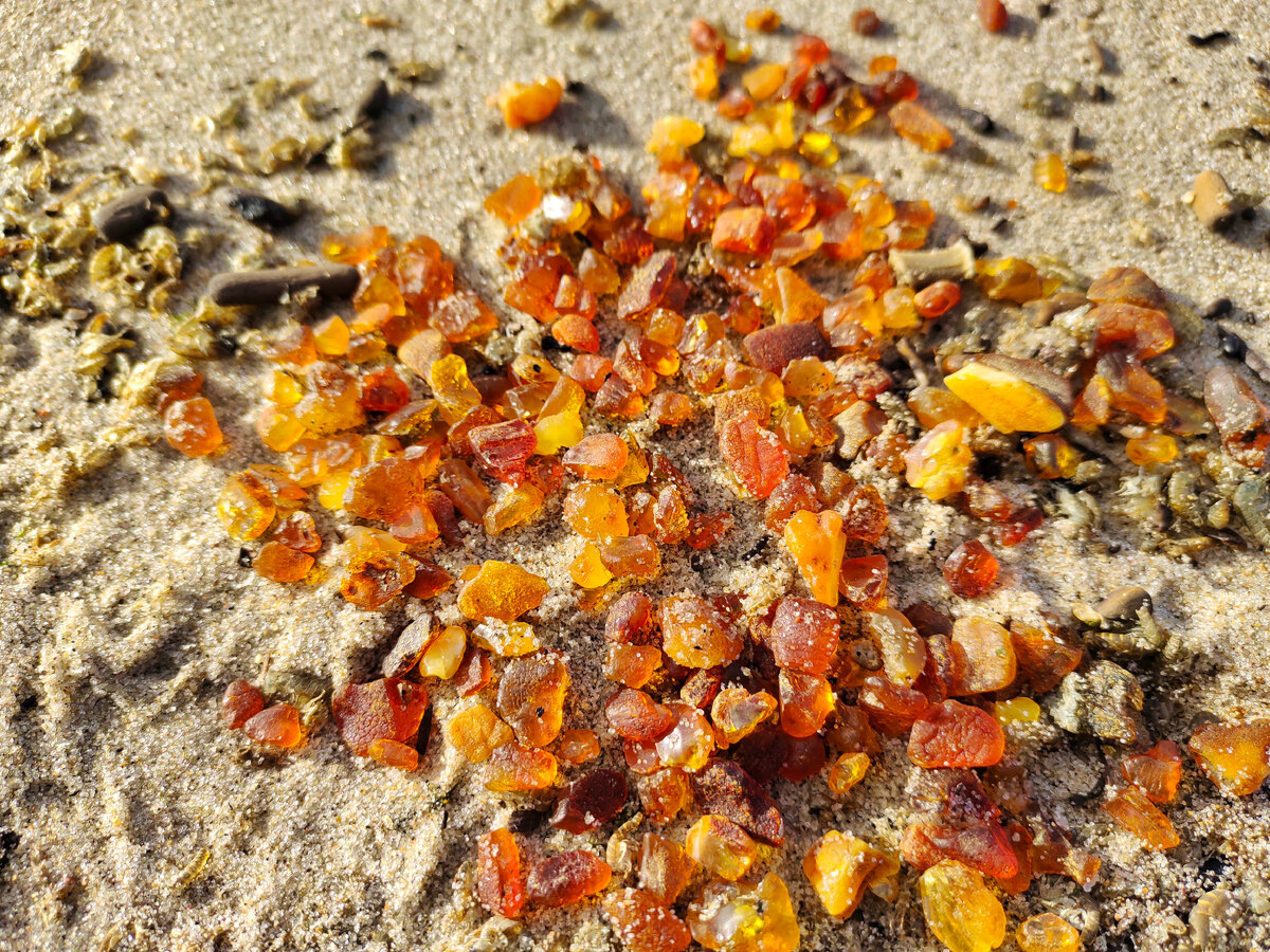 Балтийский янтарь.