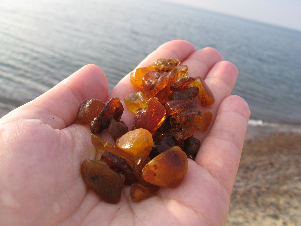 Такой янтарь реально можно найти.