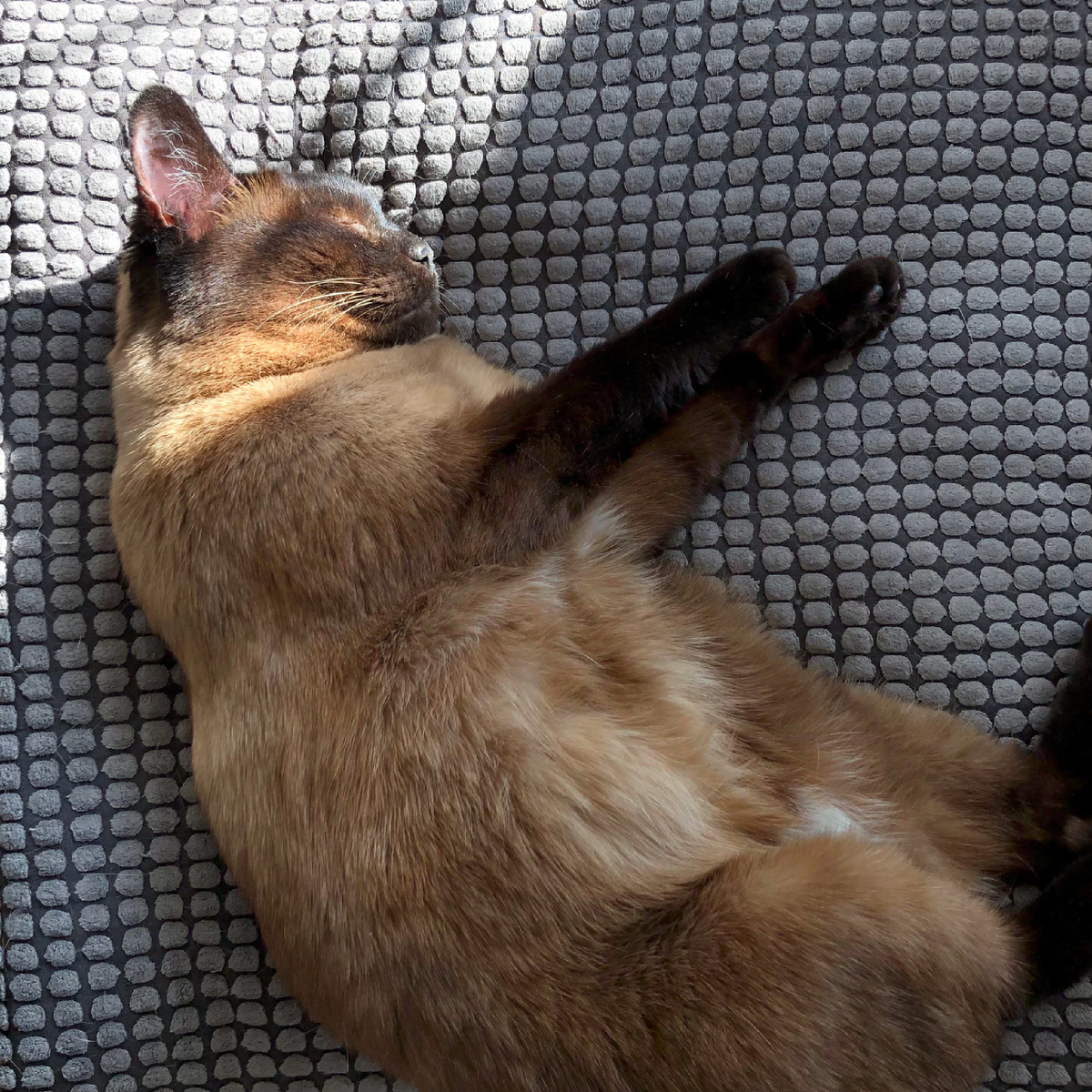 Колбасочка подтверждает))