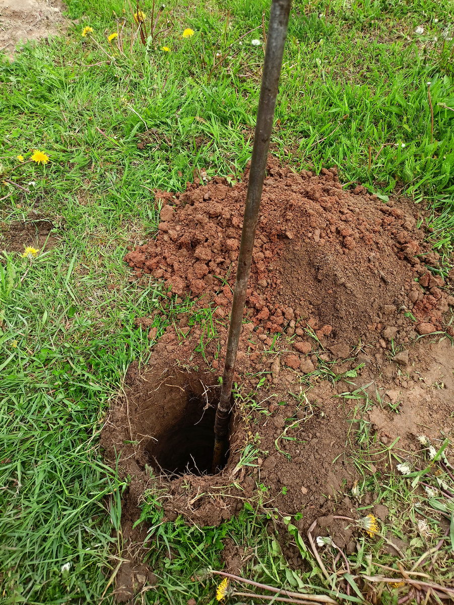 Глина очень плотная, иногда приходилось размягчать её ломиком.