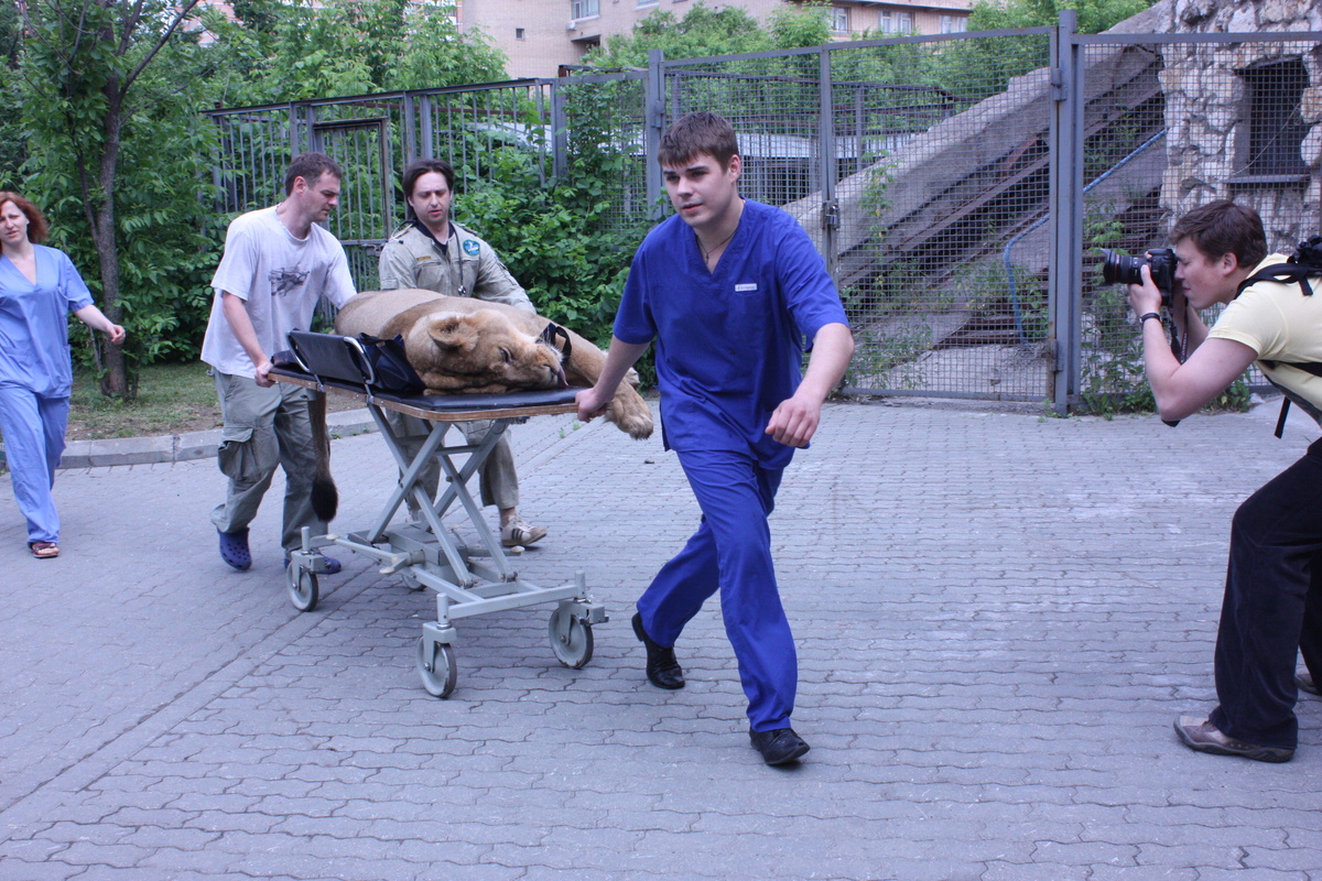 Архивное фото, 2009 год