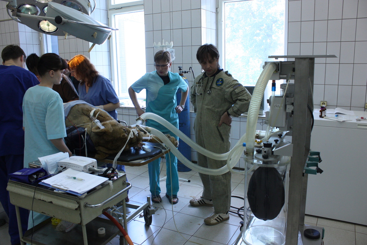 Архивное фото , 2009 год