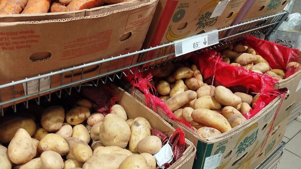    Фото: телеканал «Краснодар»