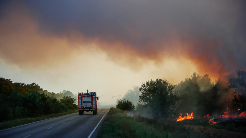    Фото: © РИА Новости/Кирилл Брага; 5-tv.ru