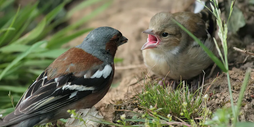 Не позволяй людям или ситуациям выбивать тебя из равновесия — без твоей реакции у них нет никакой силы.