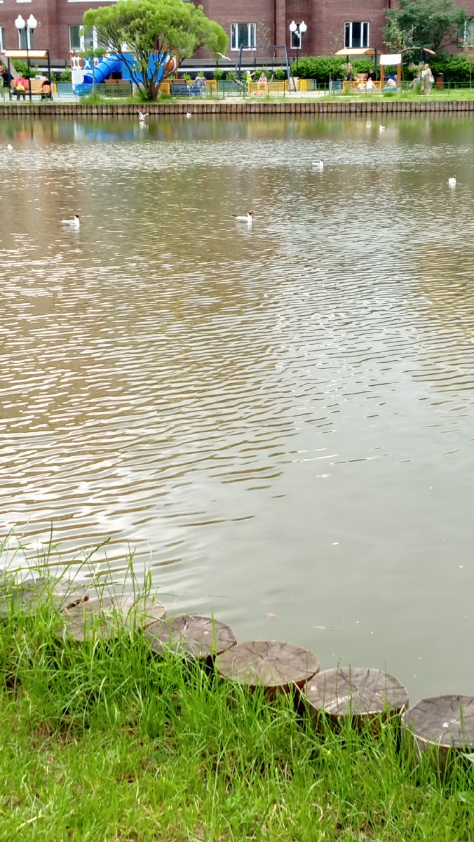 Фото автора.