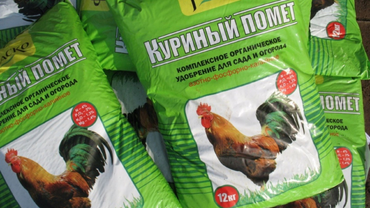 Яндекс картинки