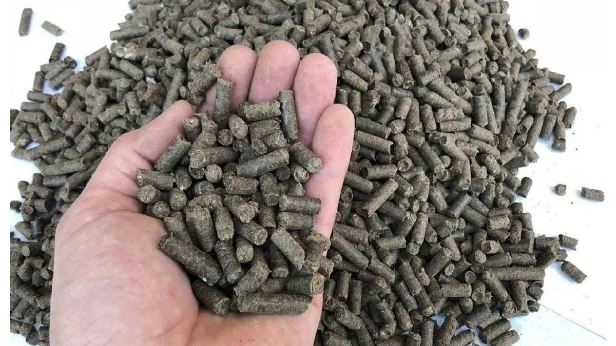 Яндекс картинки