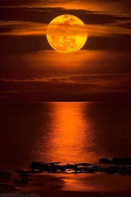 яндекс-картинки