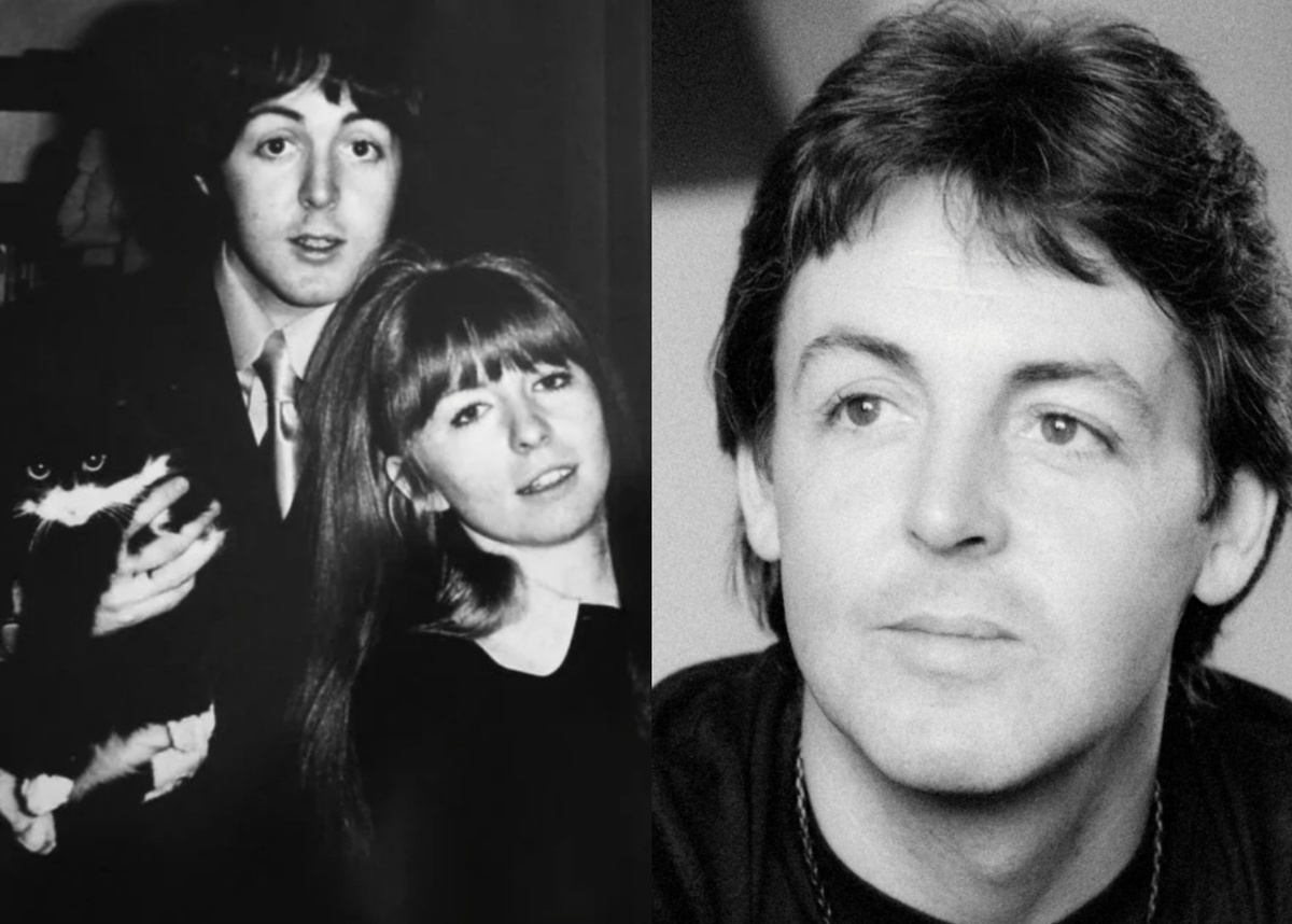 Коллаж автора.