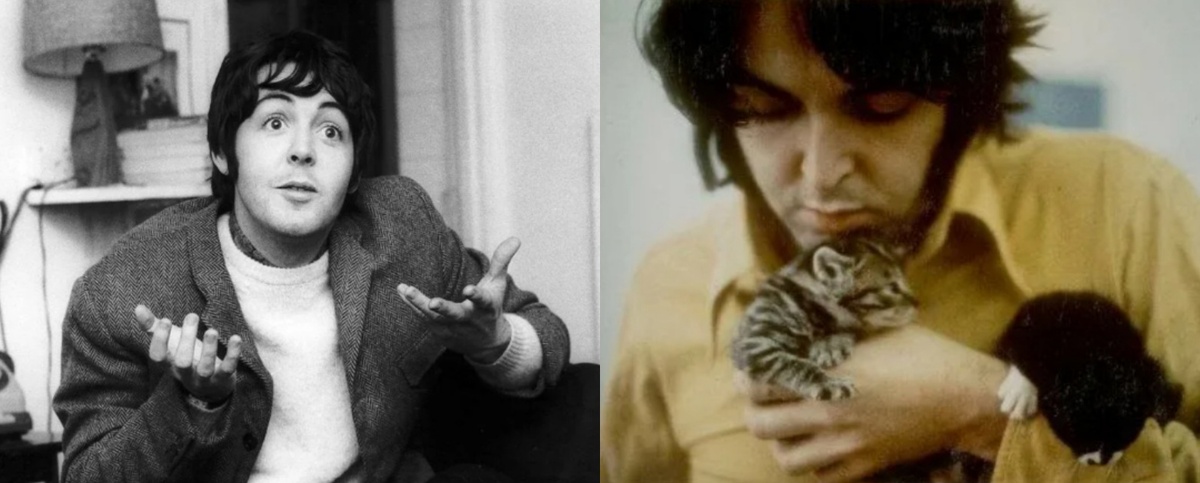 Коллаж автора.