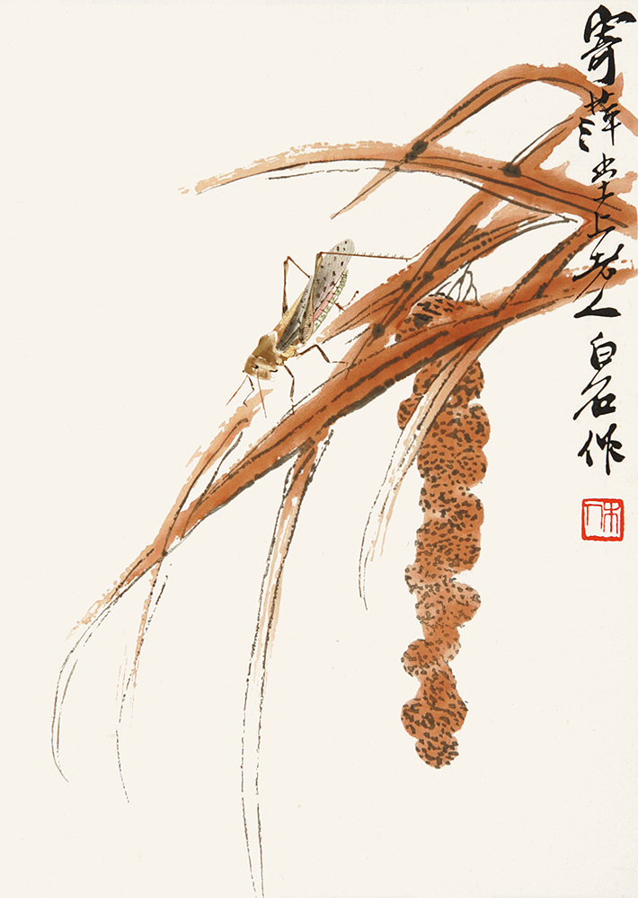 Источник изображения: baidu.com