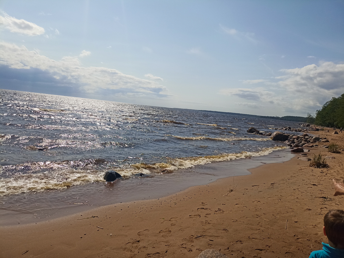 Финский залив 