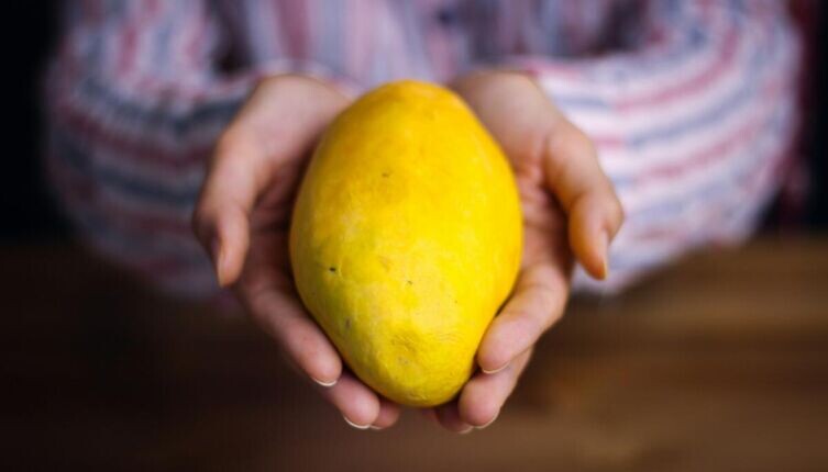     Фото: Ali Zolghadr on Unsplash