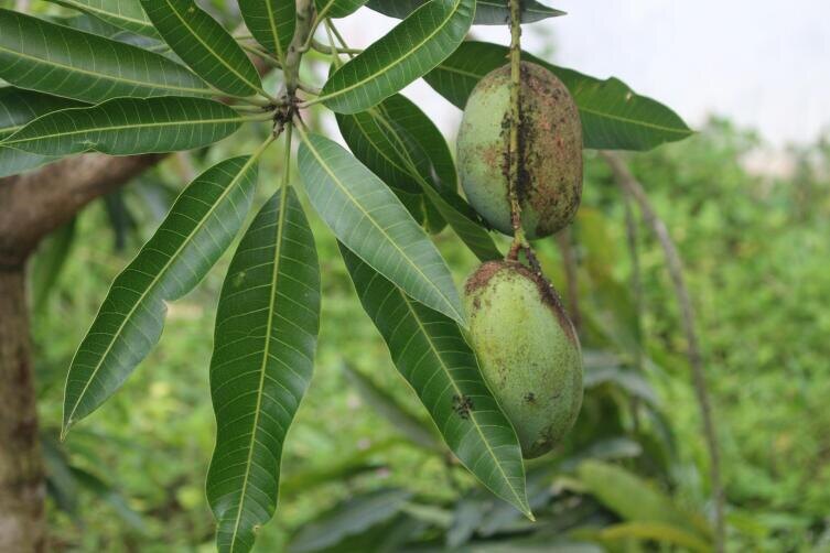    Фото: Mukidi Teguh on Unsplash