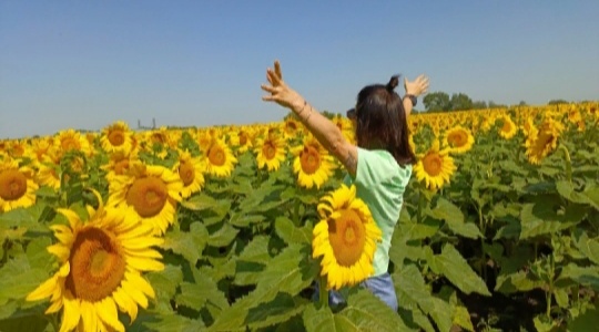 Лето 2025, юг РФ. Фото подписчика, архив канала.